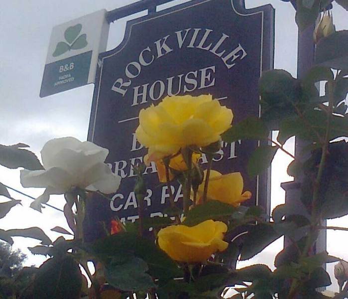 Rockville House B&B Cashel  Zewnętrze zdjęcie
